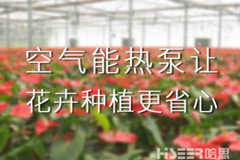 空氣能熱泵讓花卉種植更省心，優品率可達90%以上